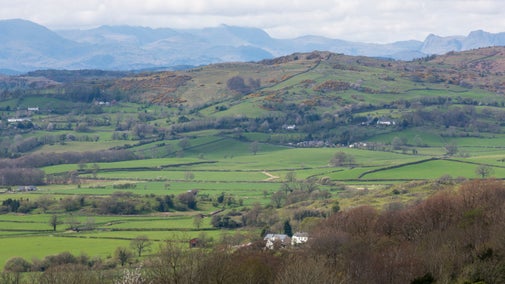 Views of fields and hills on the wider Sizergh Castle estate